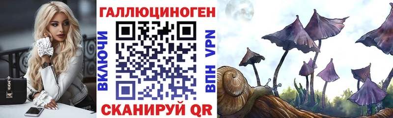 купить наркотики цена Чекалин Псилоцибиновые грибы GOLDEN TEACHER